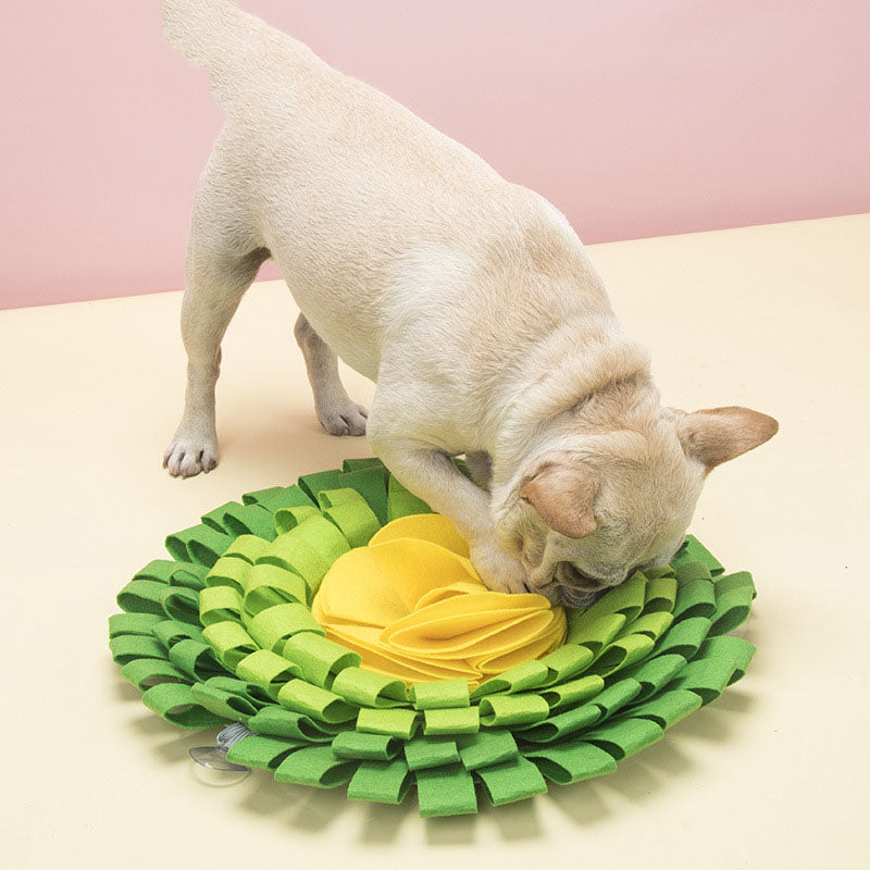 Pet Flower Ball Foraging And Sniffing Mat