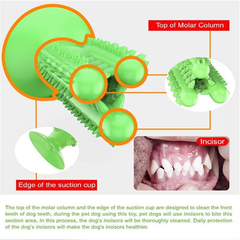 Teeth Cleaning Tool Toys for Puppies - MARC SHERL