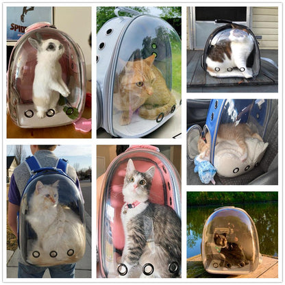 Transport Bag Carrying For Cats - MARC SHERL